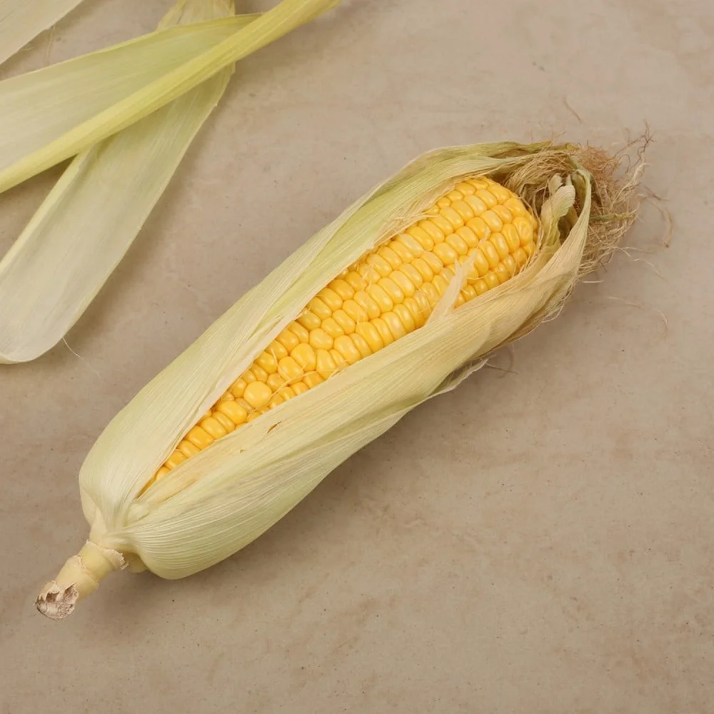 American Sweet Corn Cob (Bhutta) available from Fresh World HSR Layout